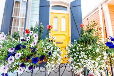 Closeup of purple and blue calibrachoa petunia flowers basket hanging on fence by colorful building house entrance and nobody on sidewalk in New Orleans, USA