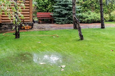 Flooded backyard pathway and lawn.