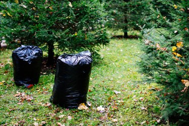 Black garbage bags filled with fallen leaves. Autumn season