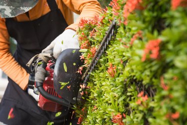 Gardener decorating garden