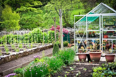 Vegetable garden