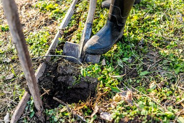 Man people person working digging up dirt for vegetable winter garden post raised bed cold frame in Ukraine dacha and closeup of shovel spade