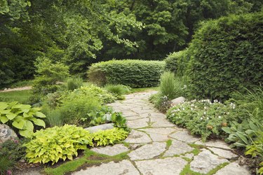 Landscaped Patio with Formal, Ornamental Gardens, Flowers, and Stone Path