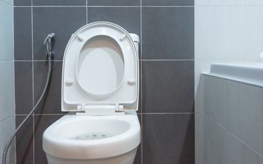 Toilet bowl in modern bathroom