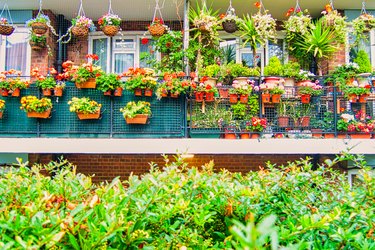 Outdoor Garden of Flower Boxes in London