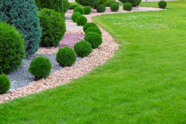 Landscape bed of garden with wave ornamental growth cypress bushes gravel mulch by color rock way on a day spring park with green lawn meadow, nobody.