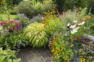 Brightly coloured plants in pots in a summer garden