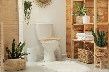 Toilet bowl and houseplants in bathroom.
