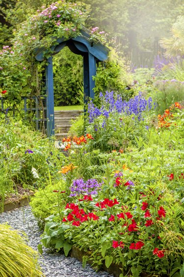 Beautiful English cottage, summer garden with blue wooden archway, in soft sunshine