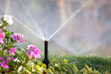 Plastic sprinkler irrigating flower bed in summer.