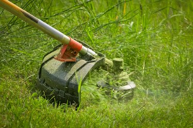 Physical worker mowing tall grass, weed with grass trimmer