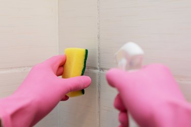 Woman wearing protective gloves while cleaning up mildew from tile grout