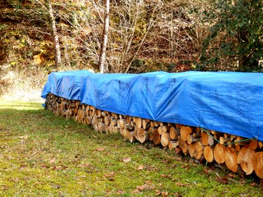 Log pile covered with blue tarp.