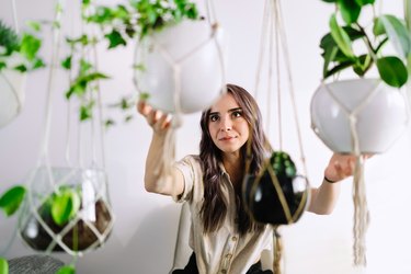 Portrait Of Beautiful Young Woman Holding Potted Plants At Home