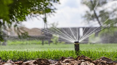 Different Types of Lawn Sprinkler Heads - Gardening Site