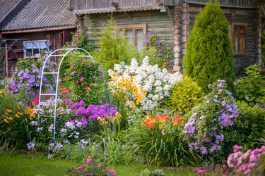 beautiful ornamental garden (house)