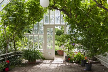 Garden greenhouse