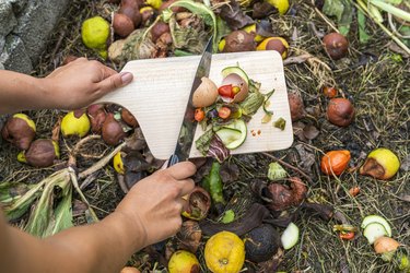 Woman's hands throwing food scraps in the compost heap.