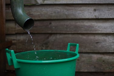 Rainwater shooting from a gutter into a water collecting reservoir