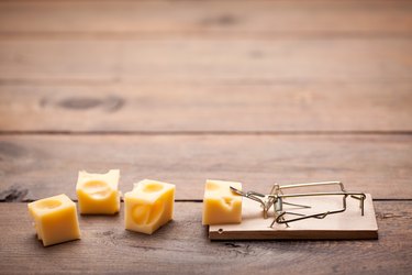 Close up of mouse trap on old wooden table