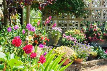 Beautiful backyard flower garden.