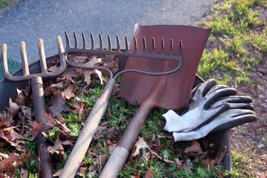 Rusty landscaping tools.
