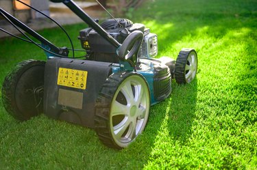 Lawn mower on green grass in backyard
