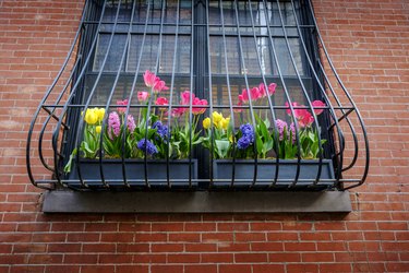 Window Flower Box in Manhattan's West Village