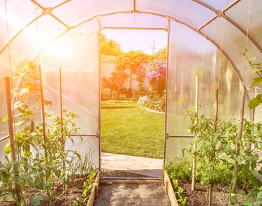 arched small greenhouse on private backyard with sun flare