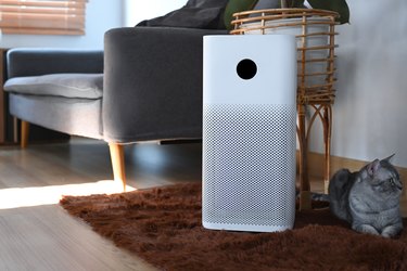 White Air purifier with digital monitor screen and lovely cat in living room. Air Pollution Concept.