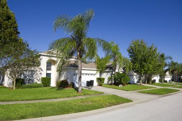 Residential neighborhood in Florida.