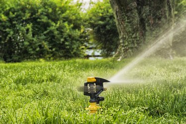 Impact sprinkler in motion watering lawn