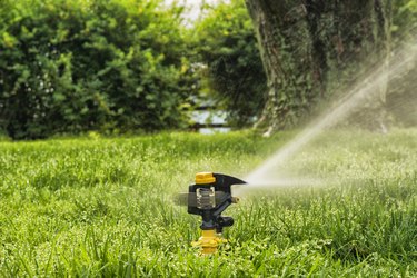 7 Best Lawn Sprinklers for Every Yard Area