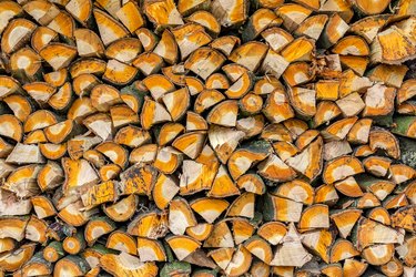 Wooden stack of fresh cherry wood