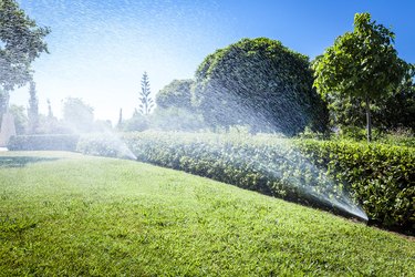 Irrigation of the garden grass with sprinkler system