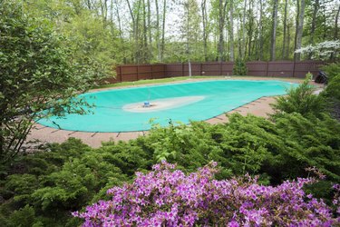 Spring time with flowers around inground pool