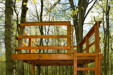 Wooden Tree House Fort Platform Hunting Stand in Deep Dark Forest Wood