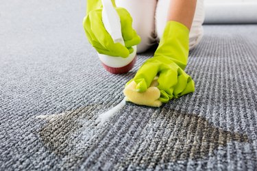 Closeup of person hand spraying detergent on a carpet stain.