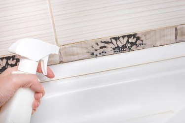 Removing mold and mildew from tile joints in the bathroom by woman hand in pink protective gloves and spray, copyspace