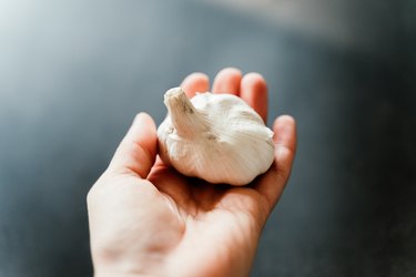 Human hand holding Garlic.