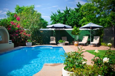 Swimming pool garden