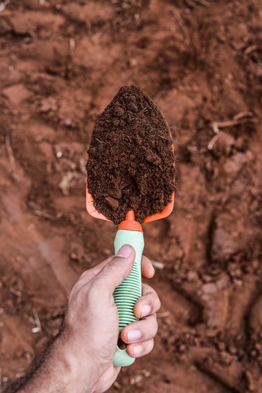Small shovel with soil sample.
