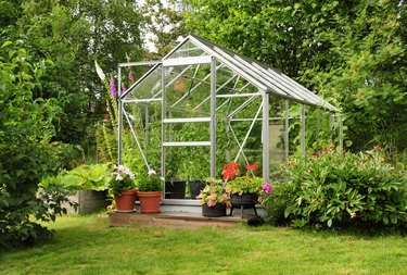 Garden greenhouse