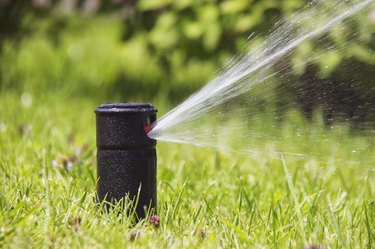 Lawn Sprinkler in Action. Garden Sprinkler Watering Grass. Automatic Sprinklers.