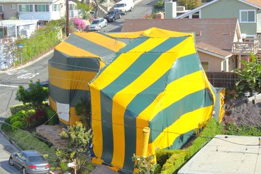 Neighborhood house being fumigated.