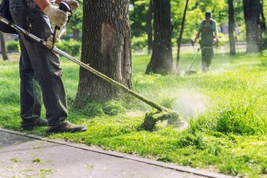 Worker mowing tall grass with electric or petrol lawn trimmer in city park or backyard. Gardening care tools and equipment. Process of lawn trimming with hand mower