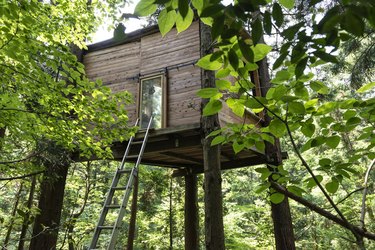 Treehouse in the forest.