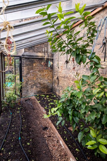 Greenhouse Lean-to