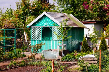 Allotment hut in spring time