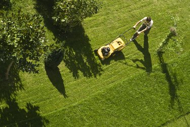 Using lawn mower